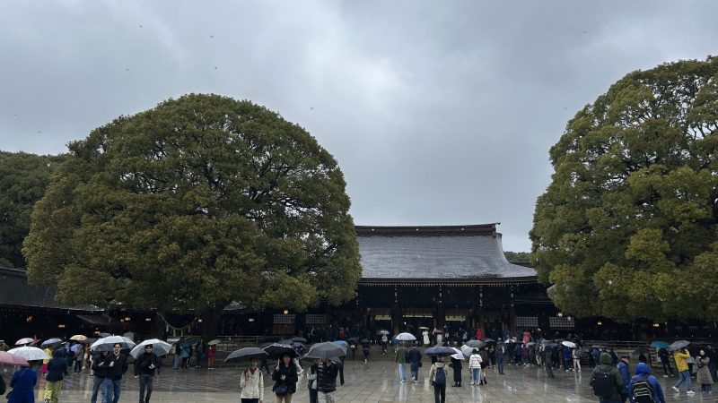 雨の中、参拝客で賑わう明治神宮の本殿前
