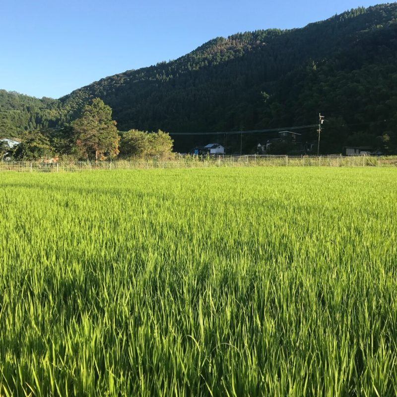 日の本町の風景